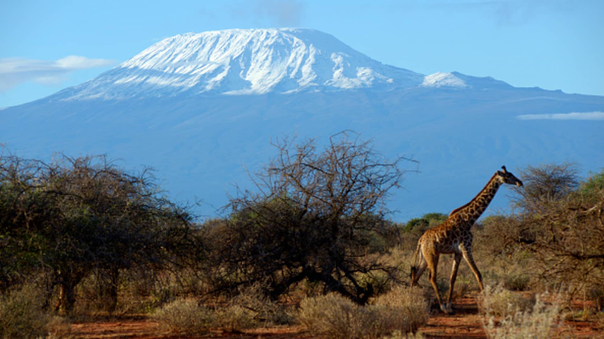 major-glaciers-in-kilimanjaro-and-yosemite-will-disappear-by-2050,-un-says