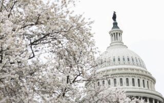 senate-passes-$1.2-trillion-government-funding-bill,-sending-it-to-biden